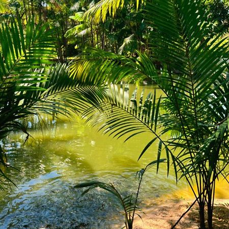 Pousada Beira Rio Barrerinhas 호텔 바레인하스 외부 사진