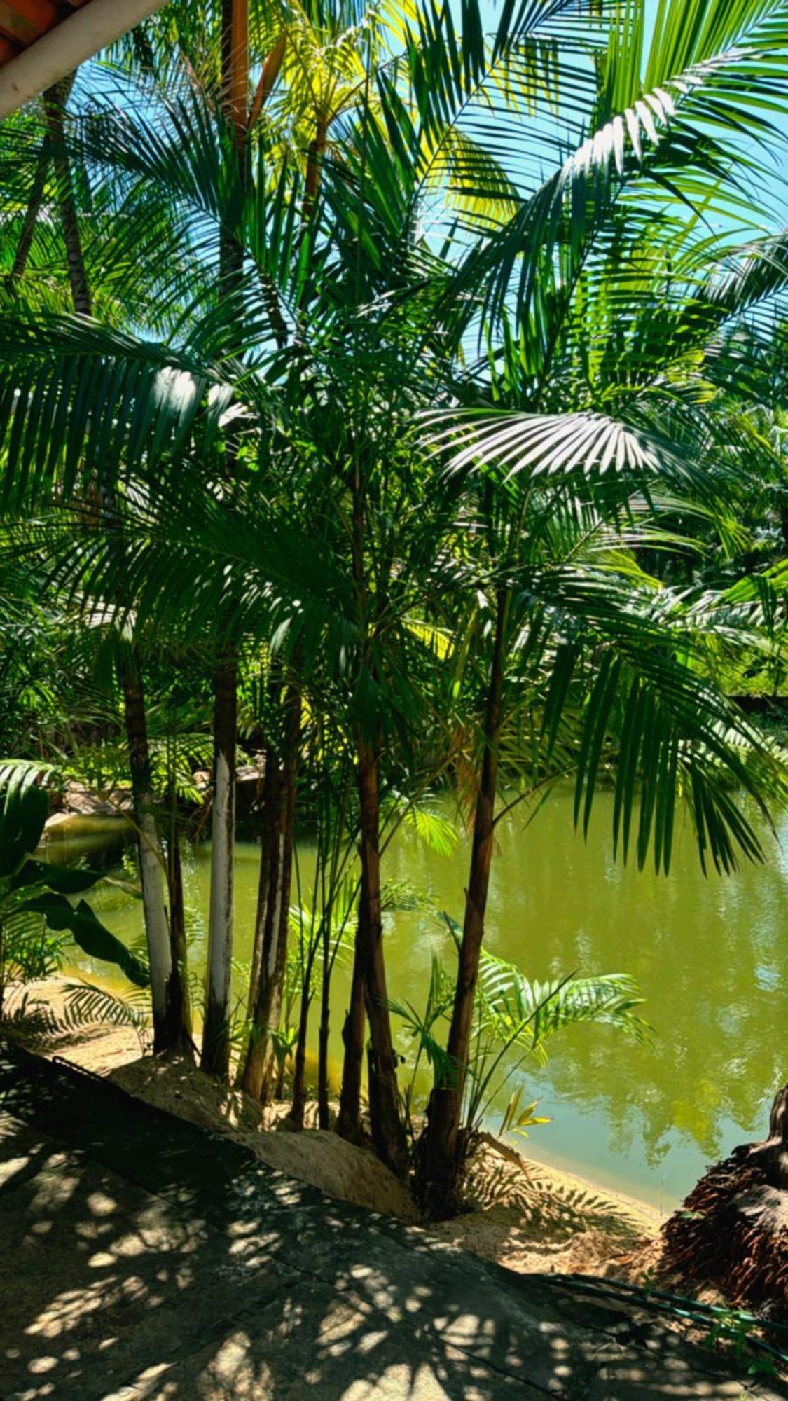 Pousada Beira Rio Barrerinhas 호텔 바레인하스 외부 사진