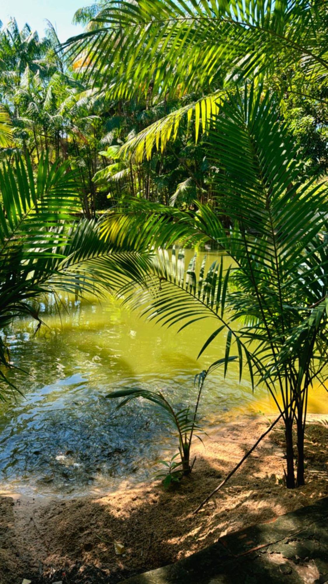 Pousada Beira Rio Barrerinhas 호텔 바레인하스 외부 사진