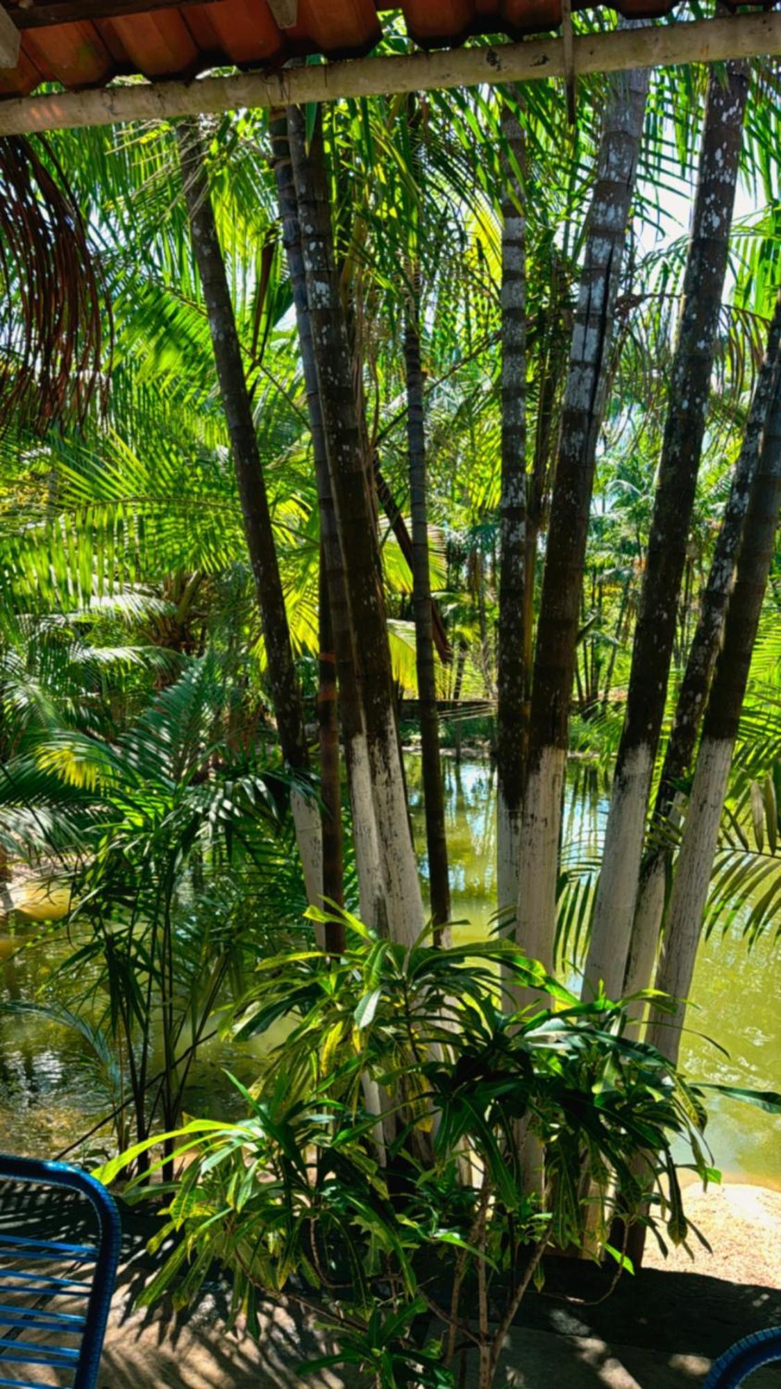 Pousada Beira Rio Barrerinhas 호텔 바레인하스 외부 사진