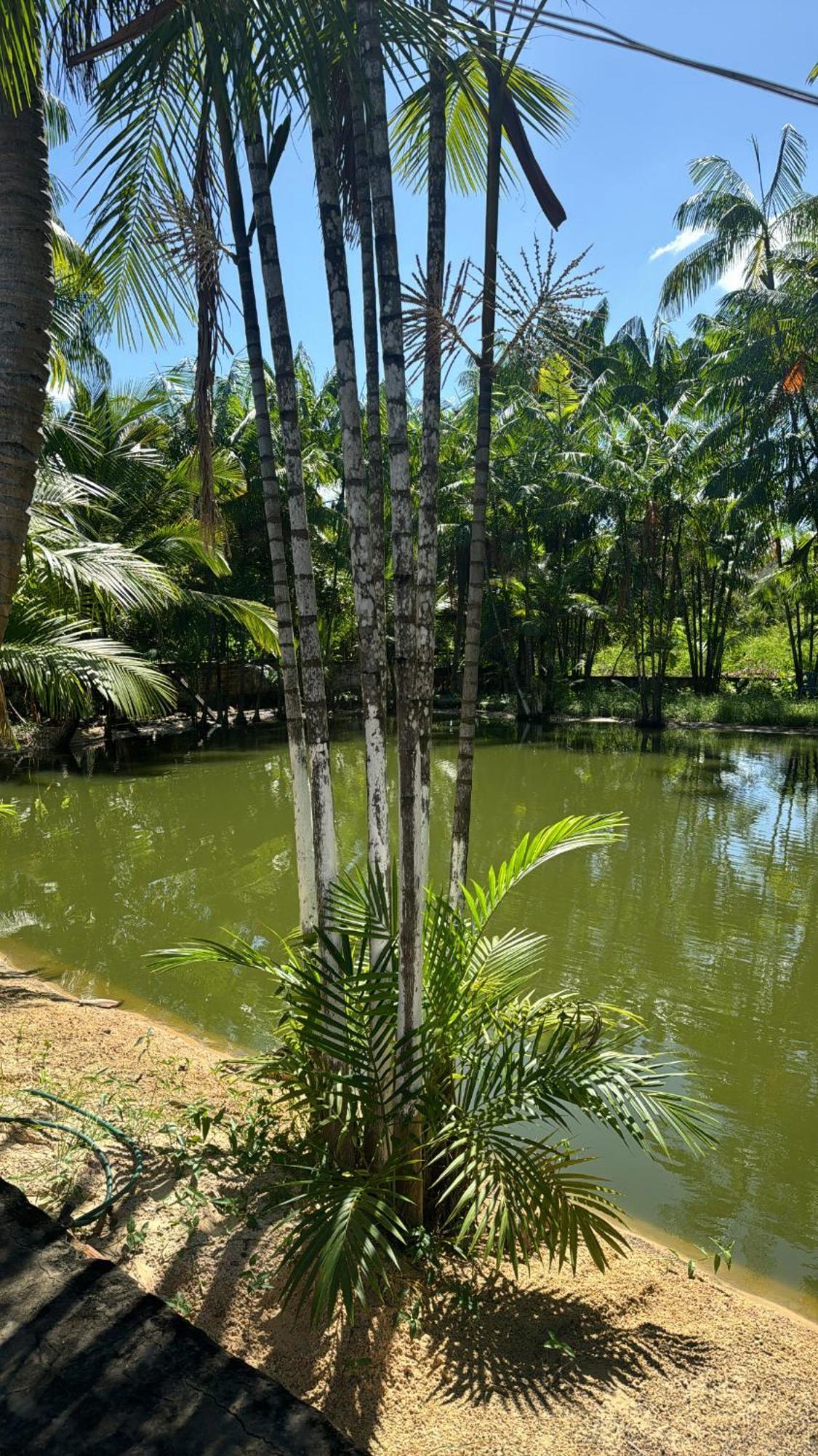 Pousada Beira Rio Barrerinhas 호텔 바레인하스 외부 사진